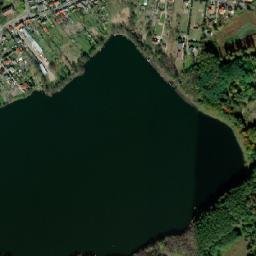 Satelita