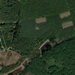 Satelita
