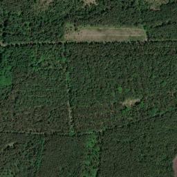 Satellite view of Golfplatz am Steinhuder Meer