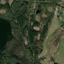 Satelita