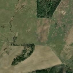 Satelita