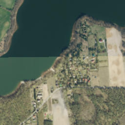 Satelita