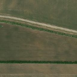 Rodinskiy Rayon map(satellite map)