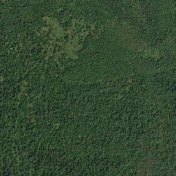 Selemdzhinskiy Rayon map(satellite map)