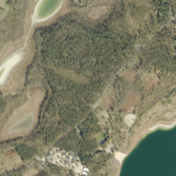 Satelita