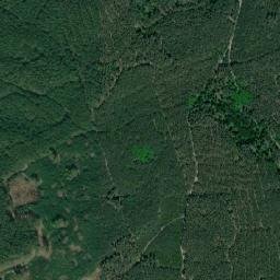 Satelita