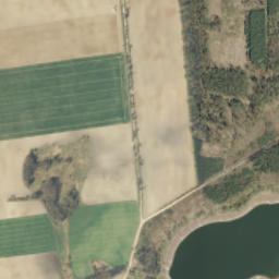 Satelita