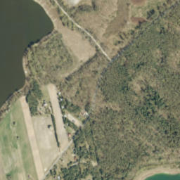 Satelita