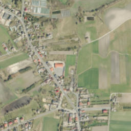 Wilczyn map(satellite map)
