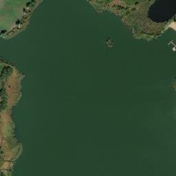 Satelita