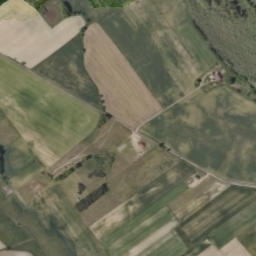 Satelita