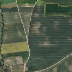 Satelita