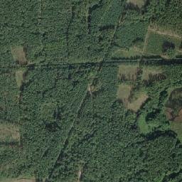 Satelita