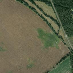 Satelita