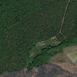Satelita