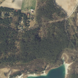 Satelita