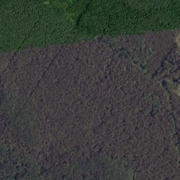Satelita