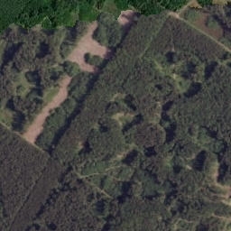 Satelita