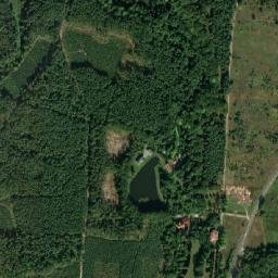 Satelita