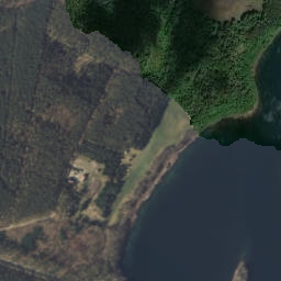 Satelita
