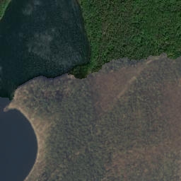 Satelita
