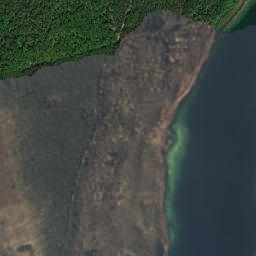 Satelita
