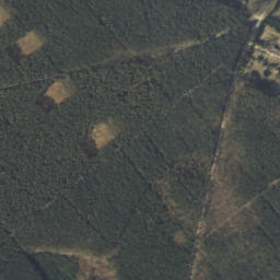 Satelita