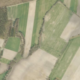 Satelita