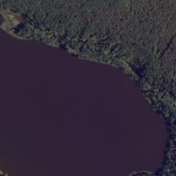 Satelita