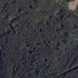 Satelita