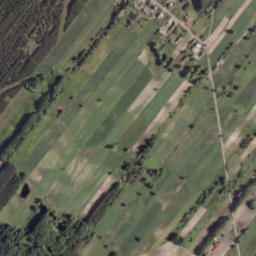 Satelita