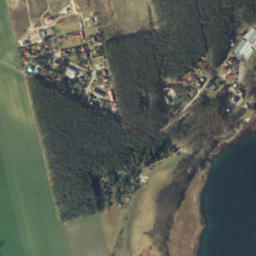 Satelita