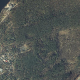 Satelita