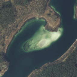 Satelita