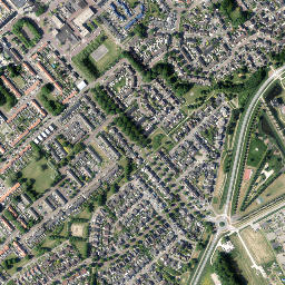Biddinghuizen map(satellite map)