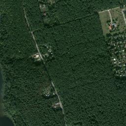 Satelita