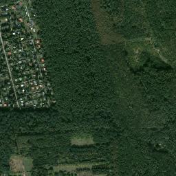 Satelita
