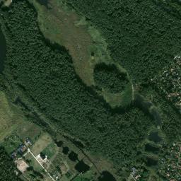Satelita