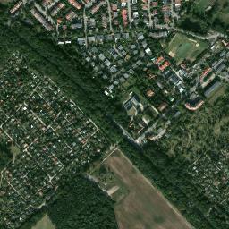 Satelita