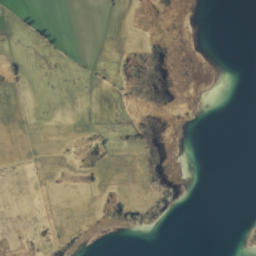 Satelita
