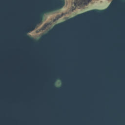 Satelita