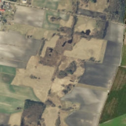 Satelita
