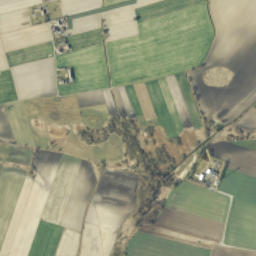 Satelita