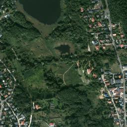 Satelita