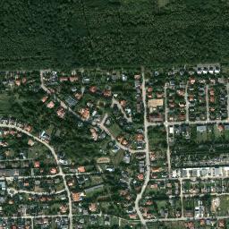 Satelita