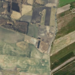 Satelita
