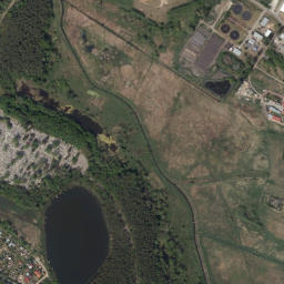 Satelita