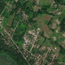 Satelita
