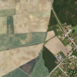 Satelita