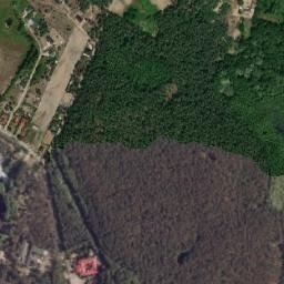 Satelita